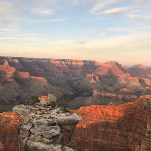 Meet your Posher, Dal